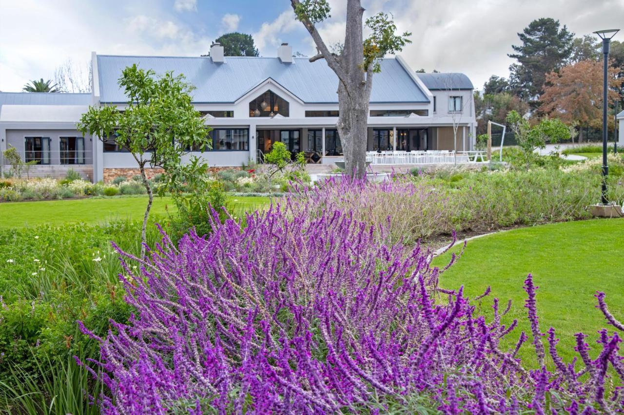 Knysna Hollow Country Estate Buitenkant foto